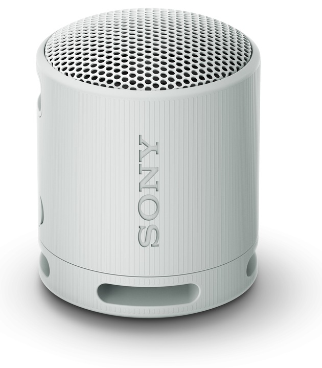 Głośnik przenośny bluetooth Sony SRS-XB100H Szary