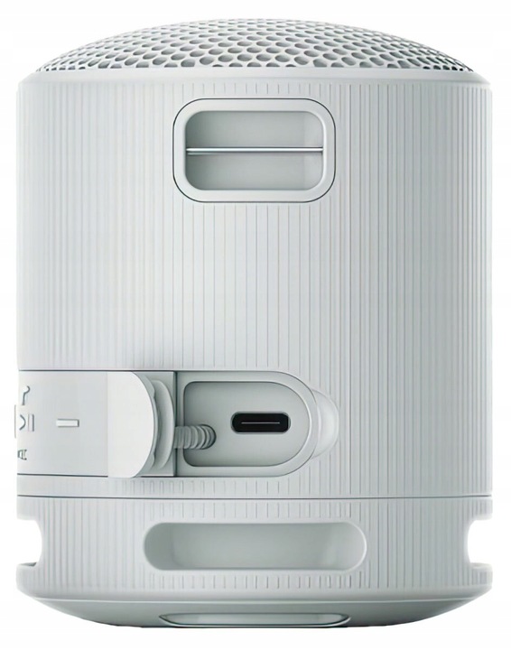 Głośnik przenośny bluetooth Sony SRS-XB100H Szary