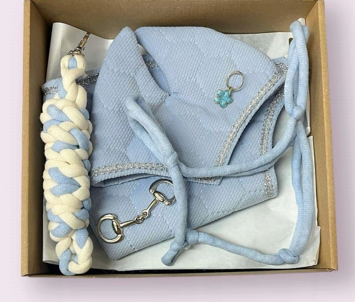 BŁĘKITNY BOX Z AKCESORIAMI DLA HOBBY HORSE A3