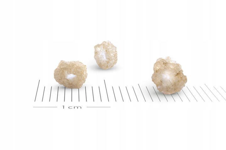 Nawóz siarczan amonu 5kg