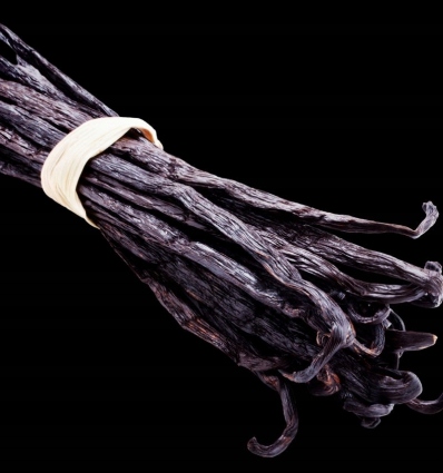 YODEYMA Paris_HARPINA Eau de Parfum EDP 50 ml