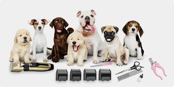 MASZYNKA DO STRZYŻENIA PSÓW PSA KOTA ZWIERZĄT ZESTAW CICHA PROFESJONALNA