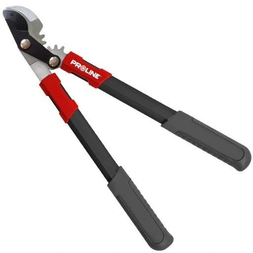 SEKATOR DWURĘCZNY NOŻYCE DO OGRODU GAŁĘZI PROLINE