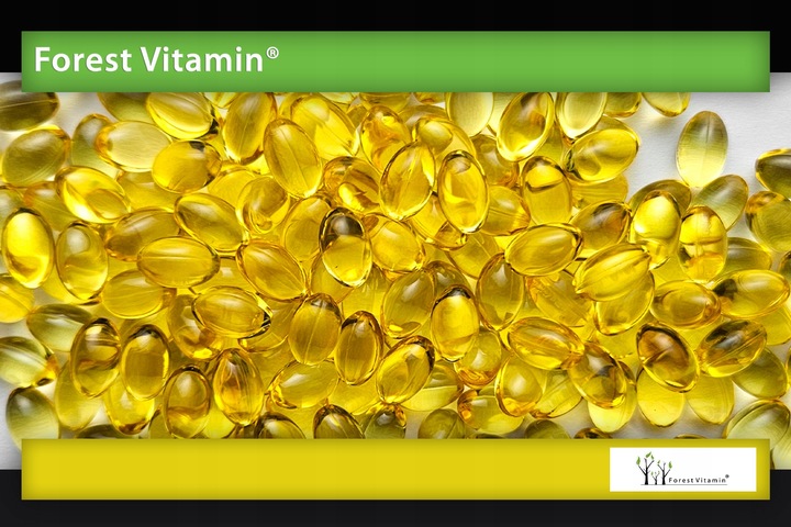 MOCNY OLEJ Z NASION WIESIOŁKA GLA 9% LA 85% + WITAMINA E 180 kapsułek