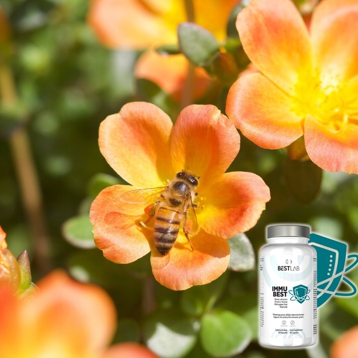 Best Lab ImmuBest BESTLAB Immu Best Odporność Wzmocnienie Colostrum Kurkuma