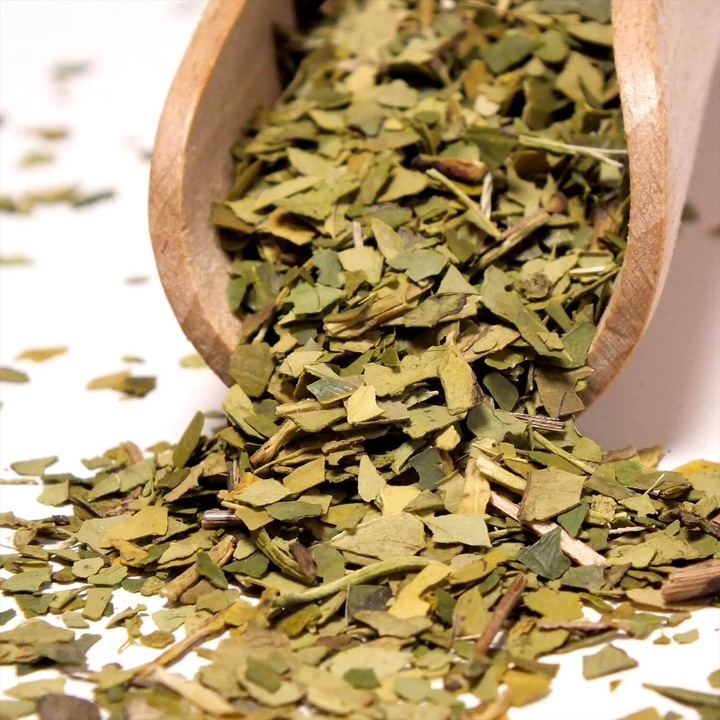 Yerba Verde Mate Green DESPALADA 500g Sin Palo