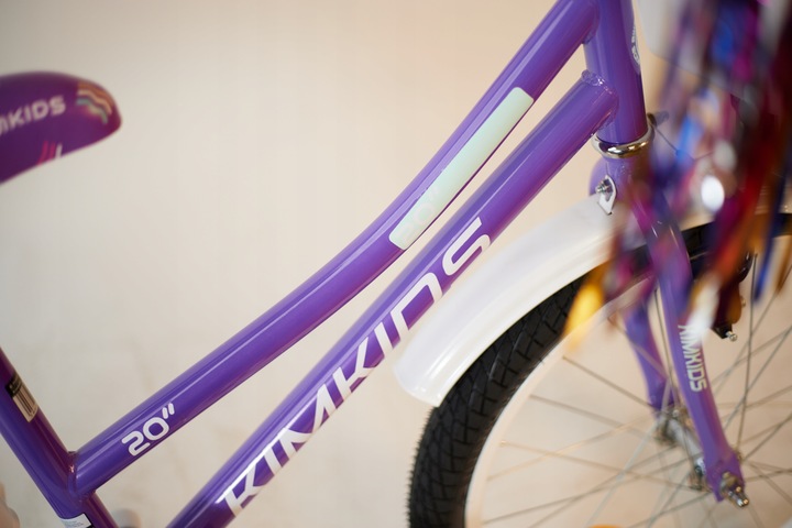 Rower dziecięcy 20 cali dla dziewczynki koszyk bagażnik frędzle 5-9 lat fio