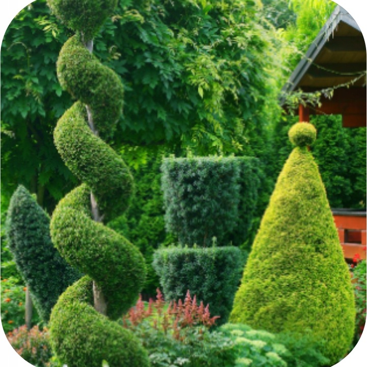 FruktoVit Plus Nawóz uniwersalny granulowany ogrodniczy 5kg ZDROWE ROŚLINY