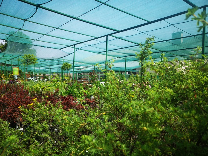 Siatka Cieniująca Mata 4x5m 60% Osłona Zielona Na Ogrodzenie Płot Balkon