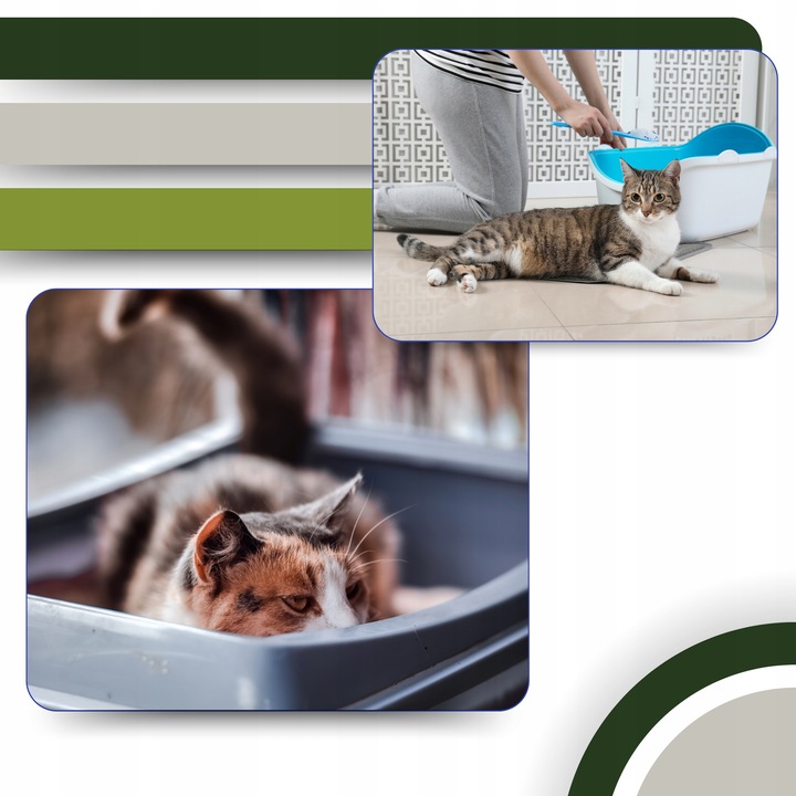 Żwirek dla Kota ZBRYLAJĄCY EKOLOGICZNY 24l Zbożowy BIODEGRADOWALNY do WC