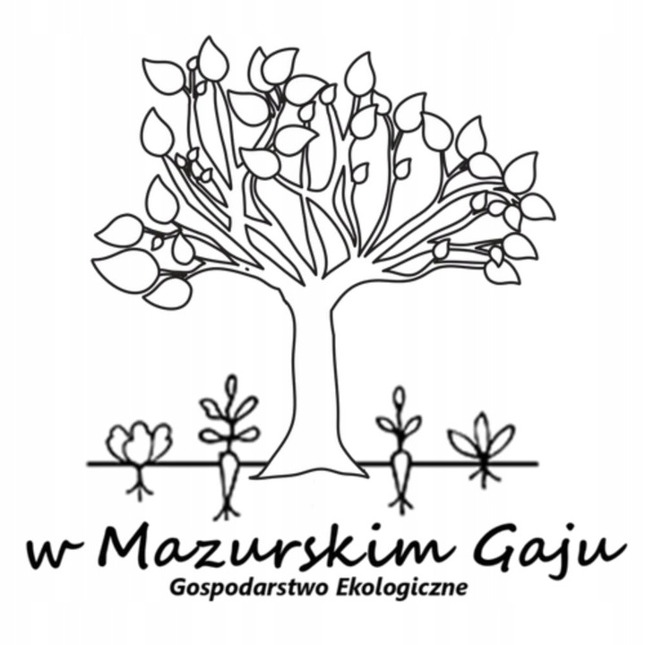 Żywy ocet jabłkowy, z dzikich jabłek 500 ml NIEPASTERYZOWANY