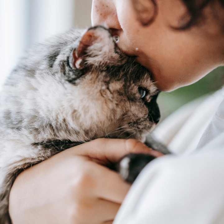 MOKRA KARMA DLA KOTA MIX SMAKÓW MEGA BOX SASZETKI W SOSIE 48X100G PREVITAL