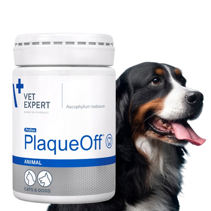 Proszek do ZĘBÓW preparat dla psów i kotów kamień VET EXPERT PLAQUE OFF 40g