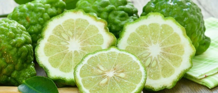 MIODOWA MYDLARNIA Dezodorant w kremie BERGAMOTKA