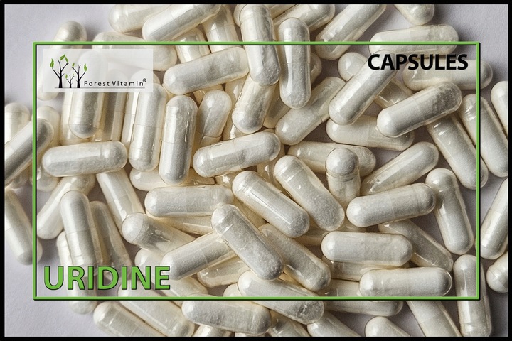 FOREST URYDYNA UMP 100 kaps ALZHEIMER MÓZG