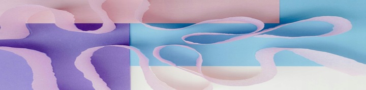 Norsa Pharma NEUROSET B-Complex | B - kompleks | układ nerwowy | 45 kaps.