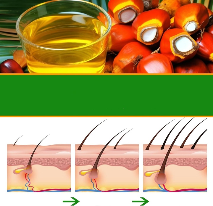 OLEJEK BATANA DO POROSTU WŁOSÓW DLA KOBIET I MĘŻCZYZN PREMIUM NA ŁYSIENIE