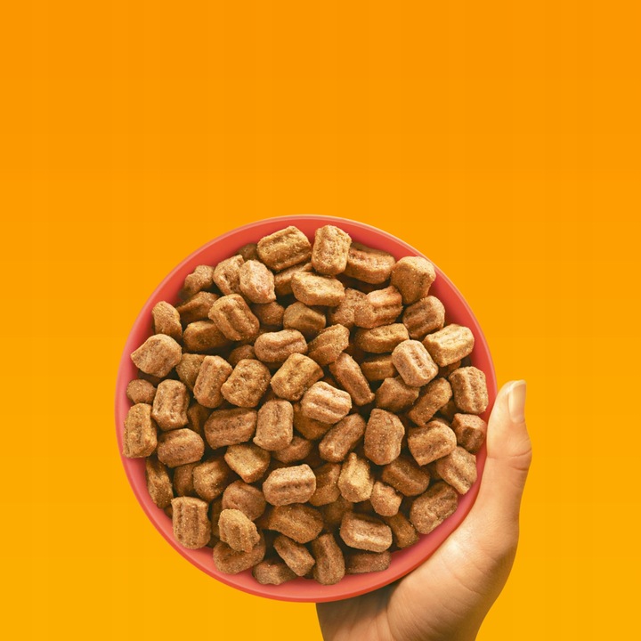 PEDIGREE sucha karma dla psa duże i średnie rasy wołowina 12 kg