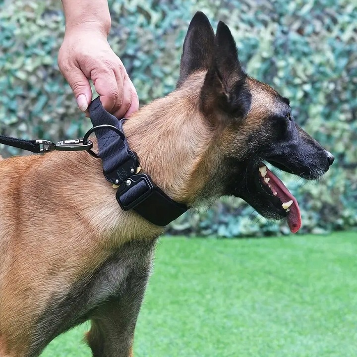 MEGA MOCNA SOLIDNA OBROŻA TAKTYCZNA DO DUŻEGO PSA METALOWA KLAMRA 45-65 XL