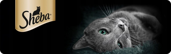 SASZETKI SHEBA KITTEN WYBÓR SMAKÓW Z ŁOSOSIEM I KURCZAKIEM 40X85G