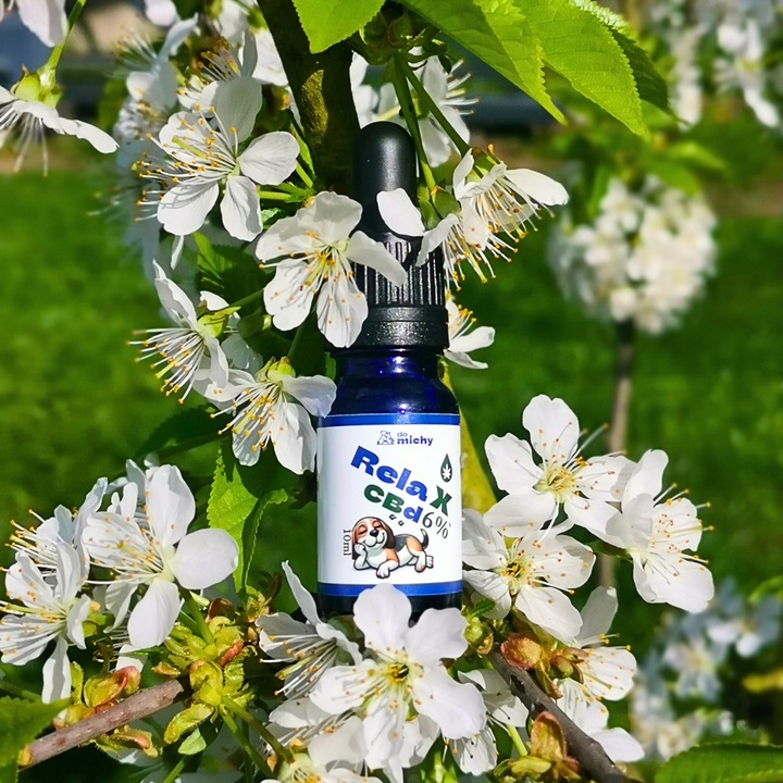 Olej Do michy RelaX CBD 6% dla psa i kota 10ml THC-0% (bezpieczny)
