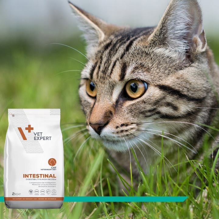 Sucha karma dla kotów wsparcie trawienia Vet Expert Intestinal 2 kg