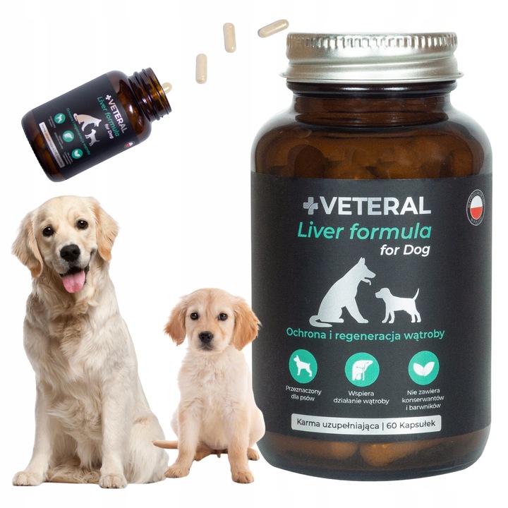 VETERAL SUPLEMENT NA WSPARCIE WĄTROBY DLA PSA suplement na wątrobę