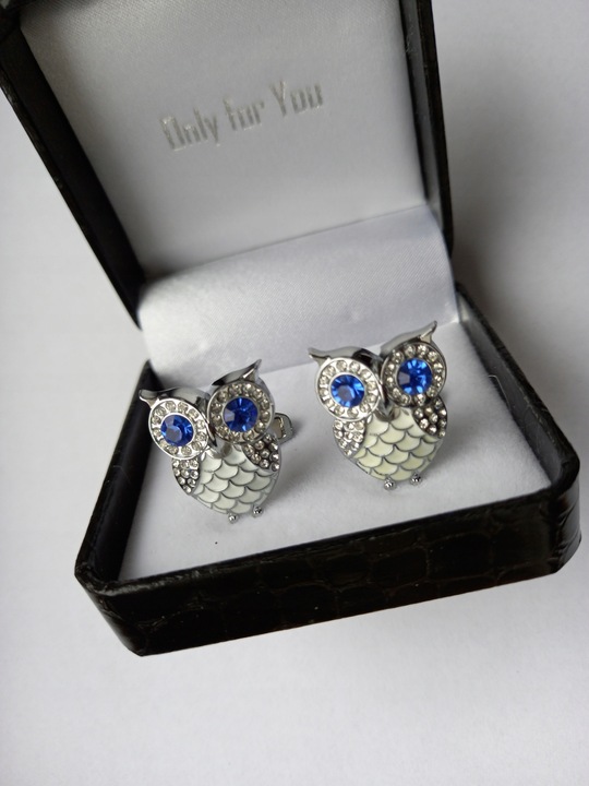 Srebrne spinki do mankietów koszuli Ptak Sowa