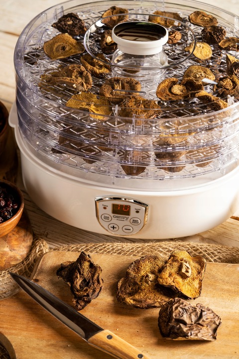 Suszarka do grzybów ziół i żywności 550W timer LCD