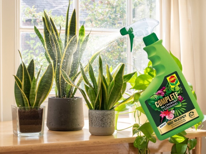 COMPO COMPLETE 2w1 NA CHOROBY I SZKODNIKI MSZYCE PRZĘDZIORKI WEŁNOWCE PLEŚŃ