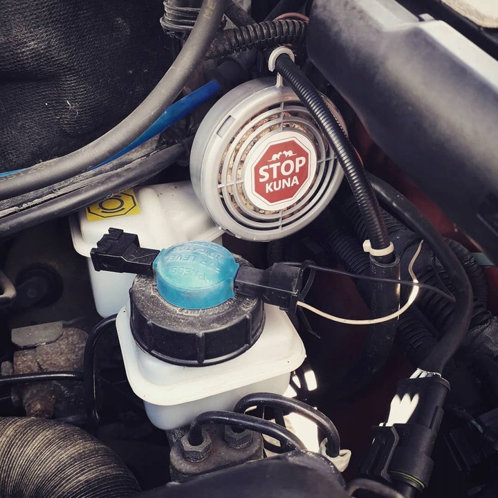 ODSTRASZACZ KUN SKUTECZNY I SOLIDNY PREPART POD MASKĘ SZYBKI I ŁATWY MONTAŻ