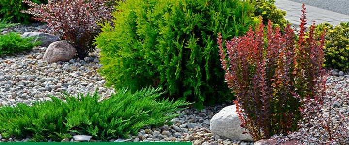 ROSAHUMUS 1kg nawóz organiczny kwasy humusowe POTAS POPRAWIA JAKOŚĆ GLEBY