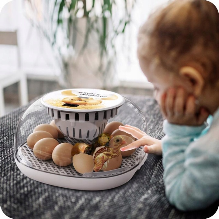 INKUBATOR DO JAJ AUTOMATYCZNY (12 JAJ) WYLĘGARKA KLUJNIK Z OBRACANIEM 35 W