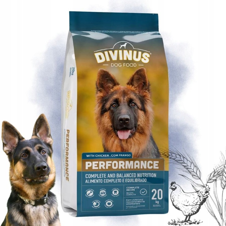 DIVINUS Performance karma sucha dla psa owczarek labrador witaminy 20kg