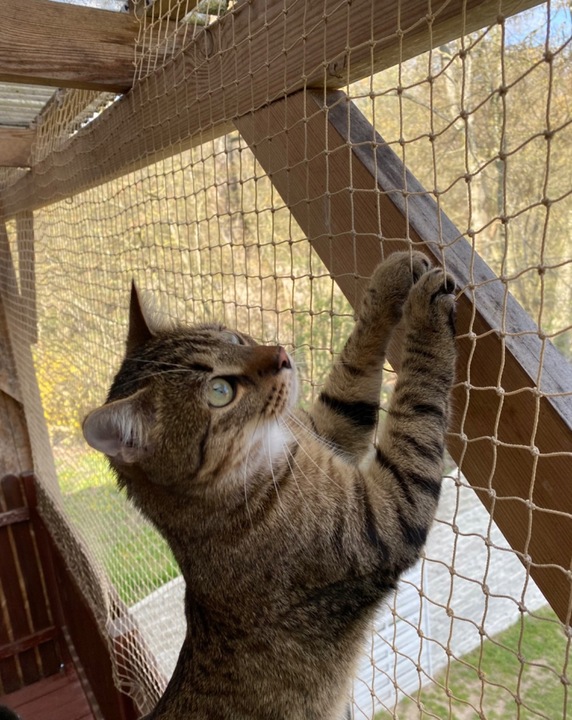 ZESTAW SIATKA NA BALKON 4x3 DLA KOTA Z DRUCIKIEM PREMIUM 110g BEZ WIERCENIA