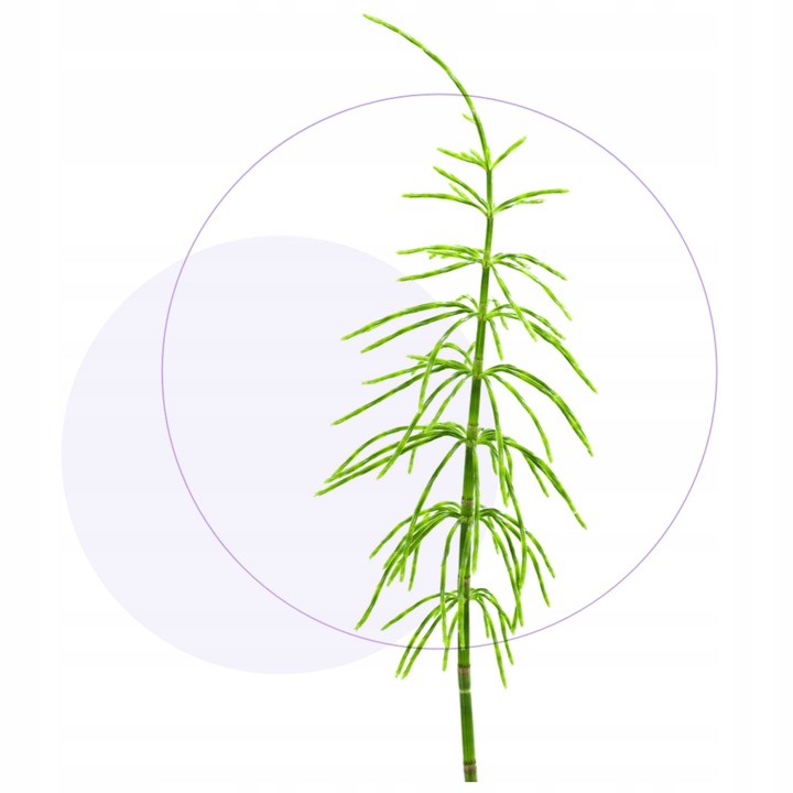 Jasnum uro 60 kapsułek