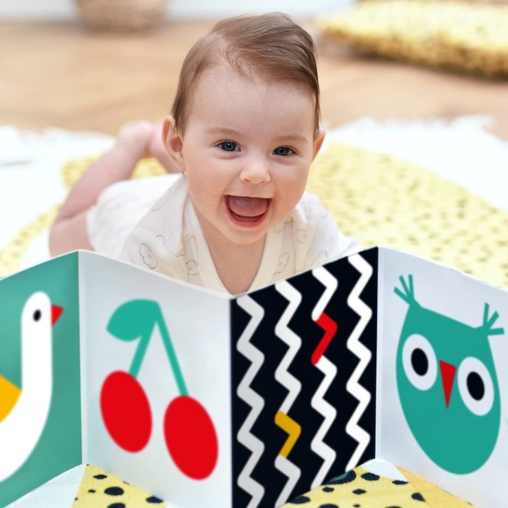 CZUCZU STARTER MALUCHA CO WIDZĘ 0-3-6 MIES.+