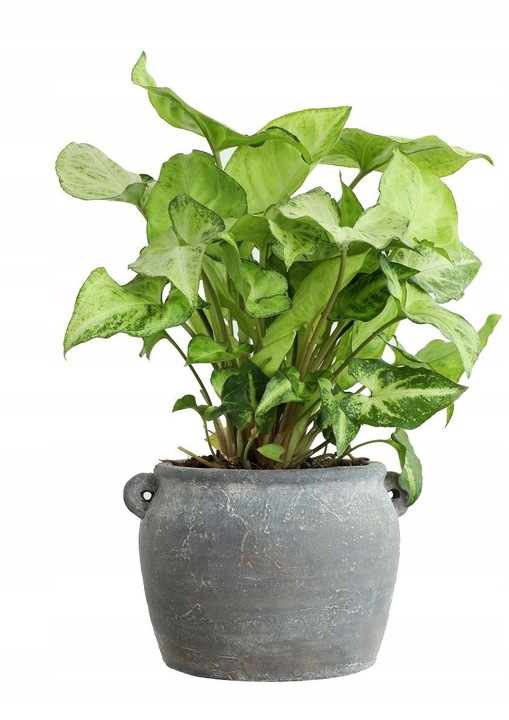 OSŁONKA DONICZKA 17,6 cm Amfora szara