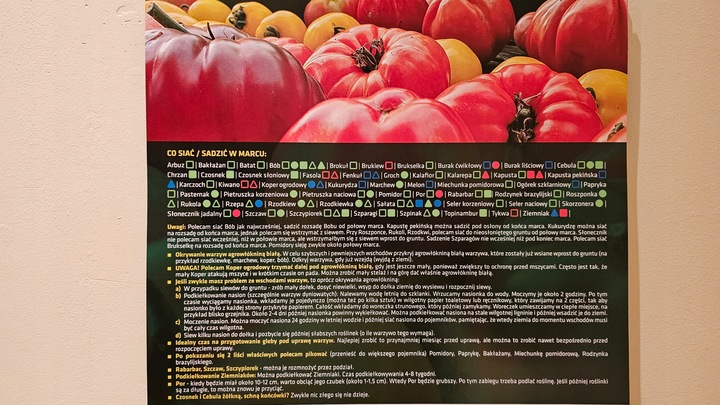 Książka infouprawa JAK UPRAWIAĆ WARZYWA + Kalendarz Warzywnika 2024