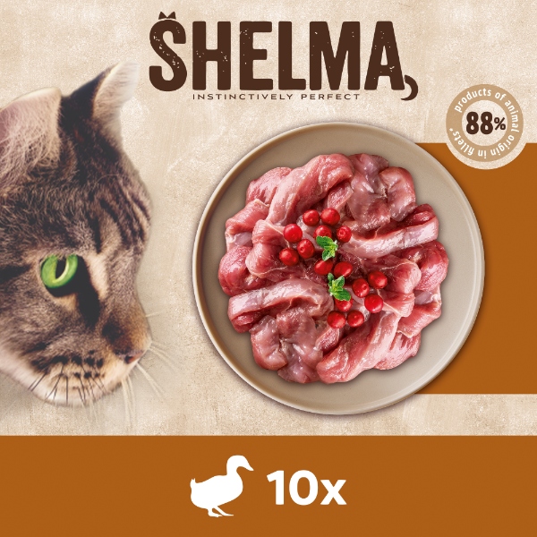 MOKRA KARMA DLA KOTA SHELMA MEGA BOX 40X85G FILECIKI MIX 4 SMAKÓW BEZ ZBÓŻ