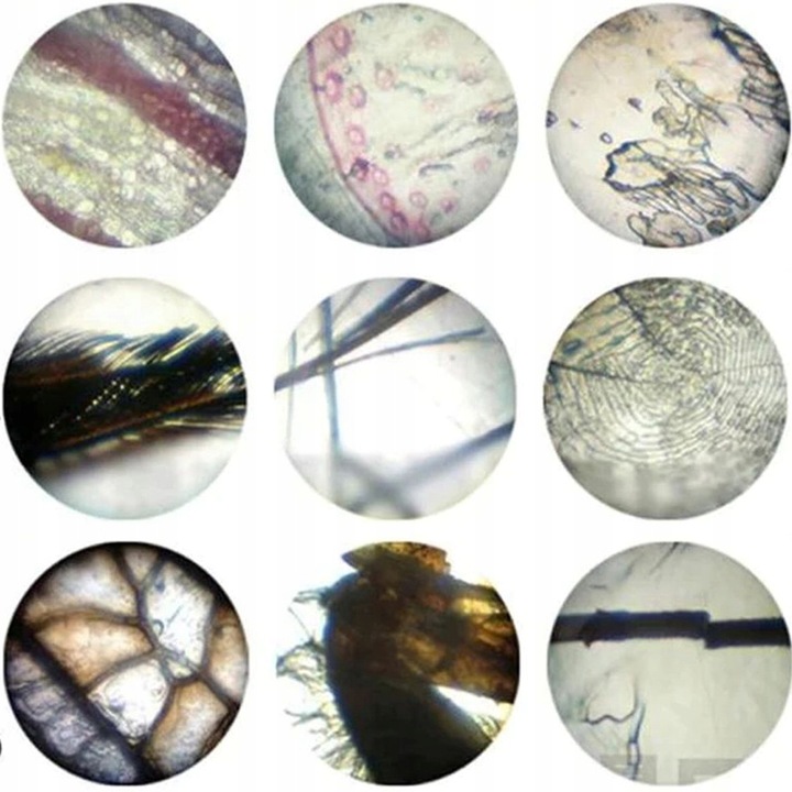 Mikroskop Naukowy Dla Dziecka Szkolny 1200x Prezent ZESTAW PREPARATÓW 24 el