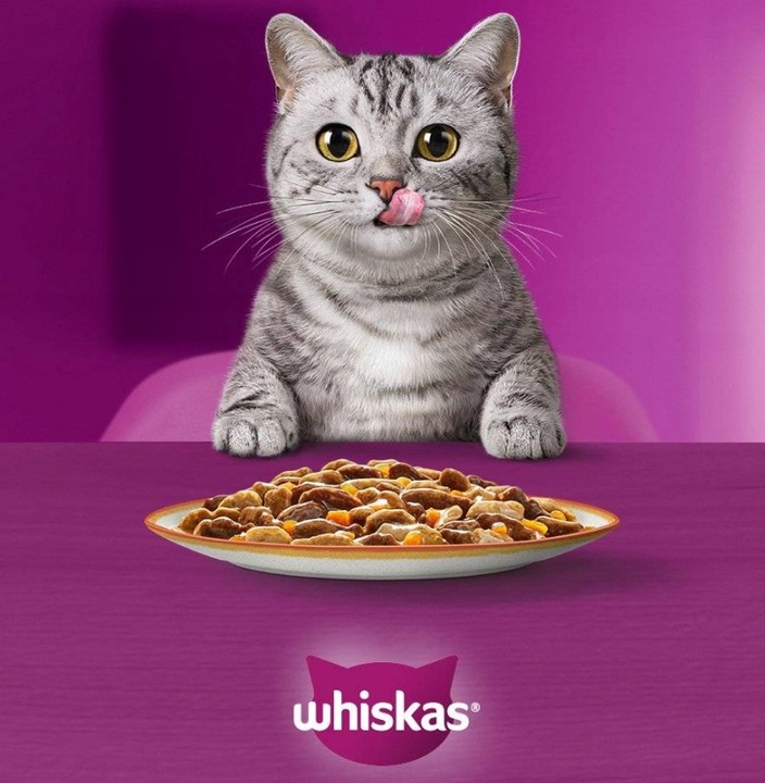WHISKAS SUCHA KARMA DLA KOTA Z WOŁOWINĄ 14KG