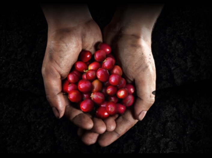 Ekspres Krups NESPRESSO XN110110 ESSENZA MINI biały