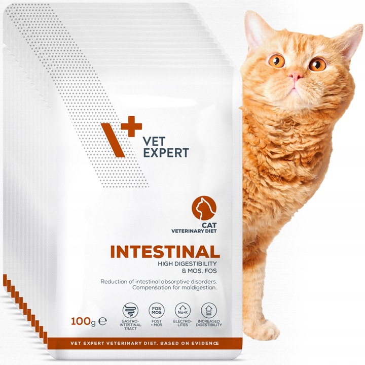 Mokra karma dla kota kurczak indyk VET EXPERT INTESTINAL12x saszetka 100g