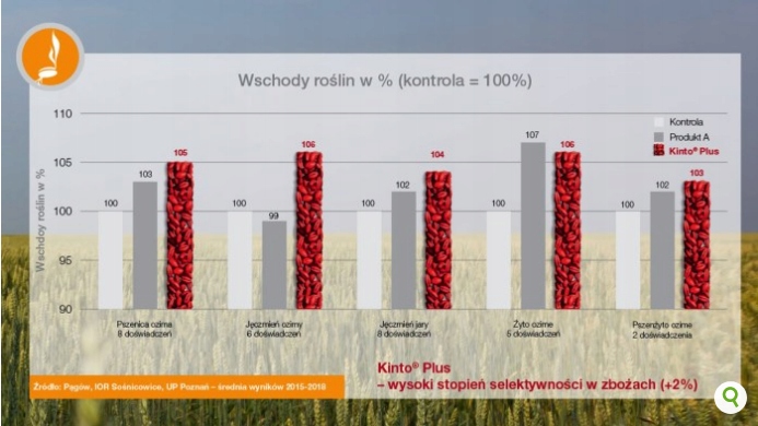 KINTO PLUS 1L zaprawa ziaren siewnych zbóż BASF