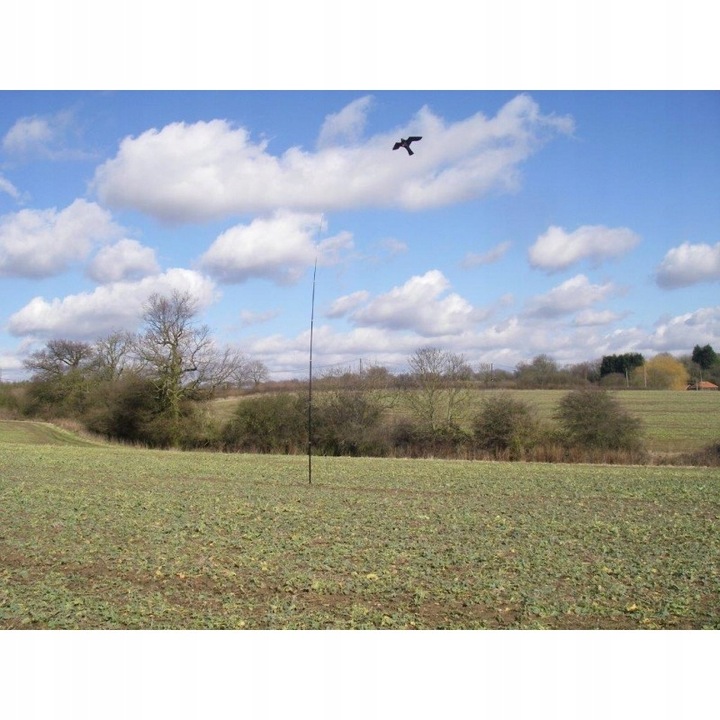 Odstraszacz Szpaków Gołębi Kruk Ptaków Latawiec CH1 z masztem 6 metrów