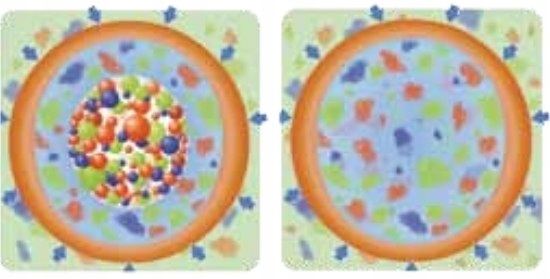 Barfertile Universal Nawóz letni 5kg Barenbrug