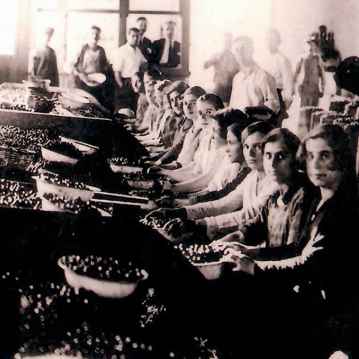 OLIWA Z OLIWEK 1L EXTRA VIRGIN ORGANICZNA NIEFILTROWANA BIO BUTELKA GRATIS