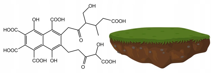 Kwas Fulwowy DETOXINE przyswajanie witamin 200ml.