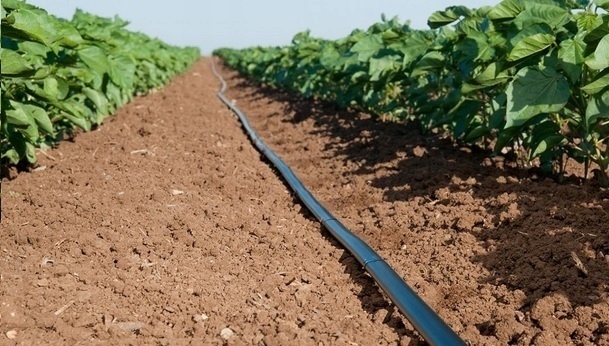 TAŚMA KROPLUJĄCA 1000m 15cm 8mil emiter 1,2l/h